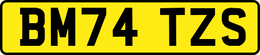 BM74TZS
