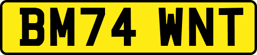 BM74WNT
