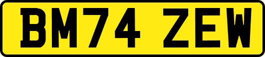 BM74ZEW