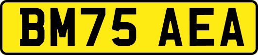BM75AEA