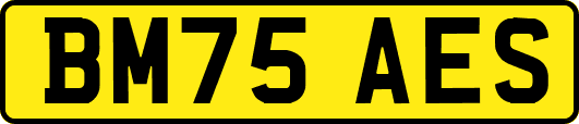 BM75AES