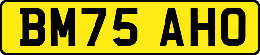 BM75AHO
