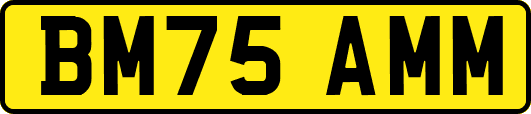 BM75AMM