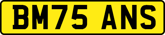 BM75ANS
