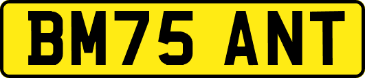 BM75ANT