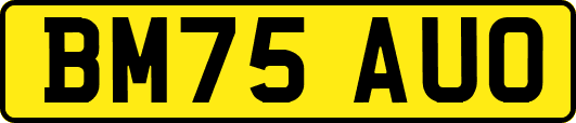 BM75AUO