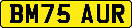 BM75AUR