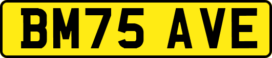 BM75AVE