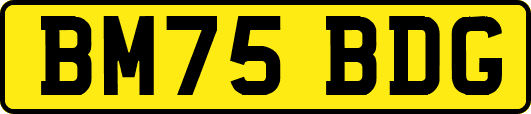 BM75BDG