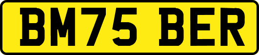 BM75BER
