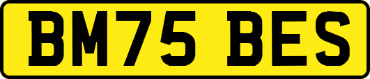 BM75BES