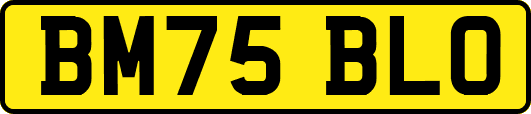 BM75BLO