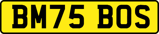 BM75BOS