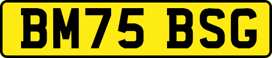 BM75BSG