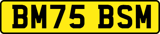 BM75BSM