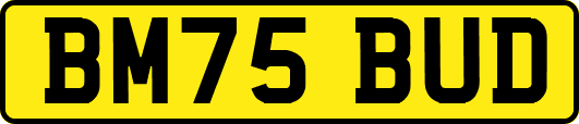 BM75BUD