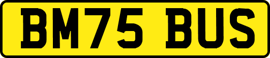 BM75BUS