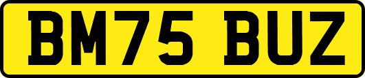 BM75BUZ