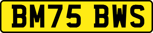 BM75BWS