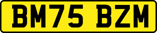 BM75BZM