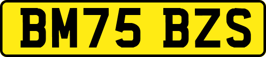 BM75BZS