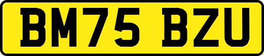 BM75BZU