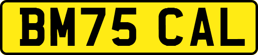 BM75CAL
