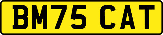 BM75CAT