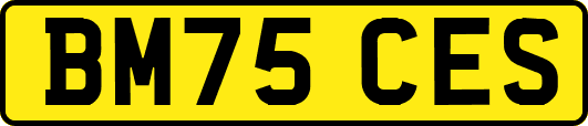 BM75CES