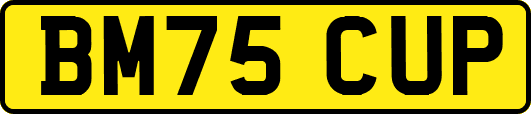 BM75CUP