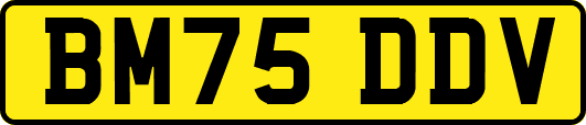 BM75DDV