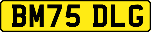 BM75DLG