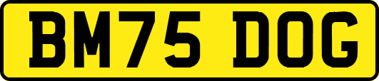 BM75DOG