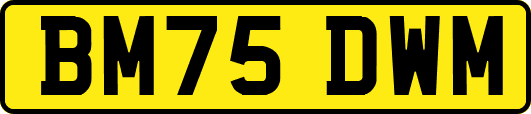 BM75DWM