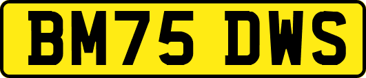 BM75DWS