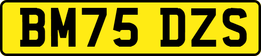 BM75DZS