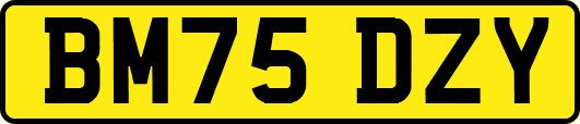 BM75DZY