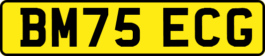 BM75ECG