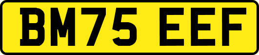 BM75EEF