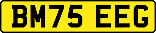 BM75EEG