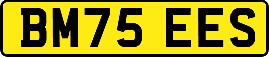 BM75EES