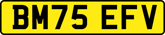 BM75EFV