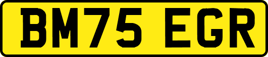 BM75EGR