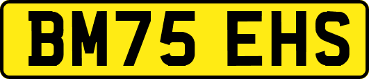 BM75EHS