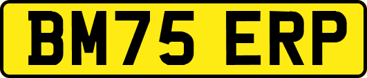 BM75ERP