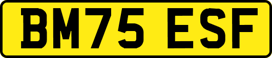 BM75ESF
