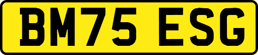 BM75ESG
