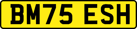 BM75ESH