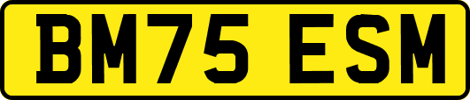 BM75ESM
