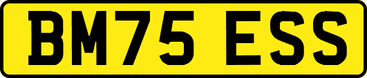 BM75ESS